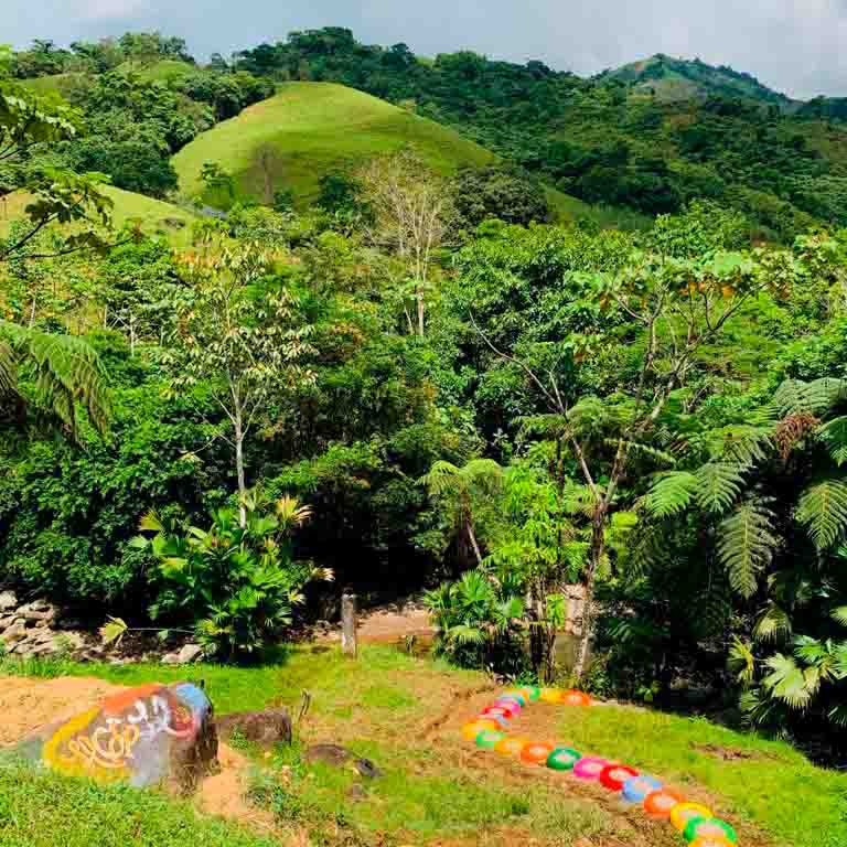 Procesos manufactura cacao